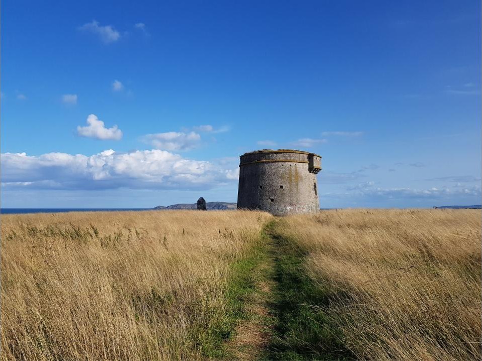 Grass path leading to the Martello tower on Drumanagh