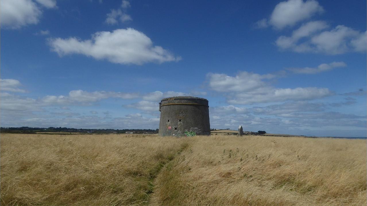 Drumanagh headland in summer with the tower and long grass